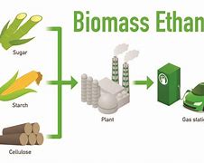 Tongkol Jagung Dapat Digunakan Sebagai Energi Alternatif Apa Arti Dari Tongkol Jagung